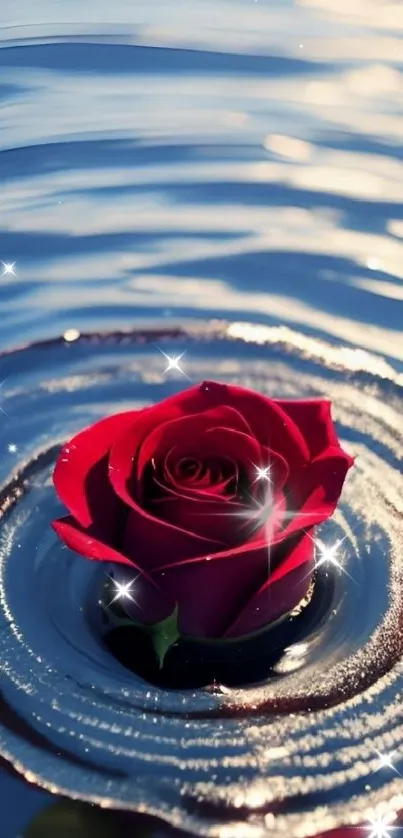 Red rose delicately floating on rippling water surface, serene and elegant.