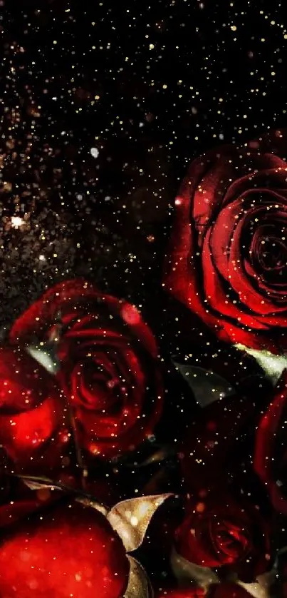 Elegant red roses bloom on a dark background, creating a dramatic mobile wallpaper.