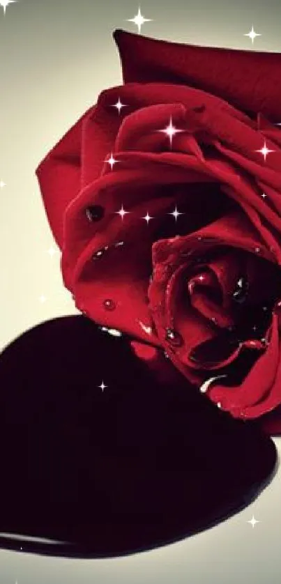 Elegant red rose on a dark background with artistic flair.