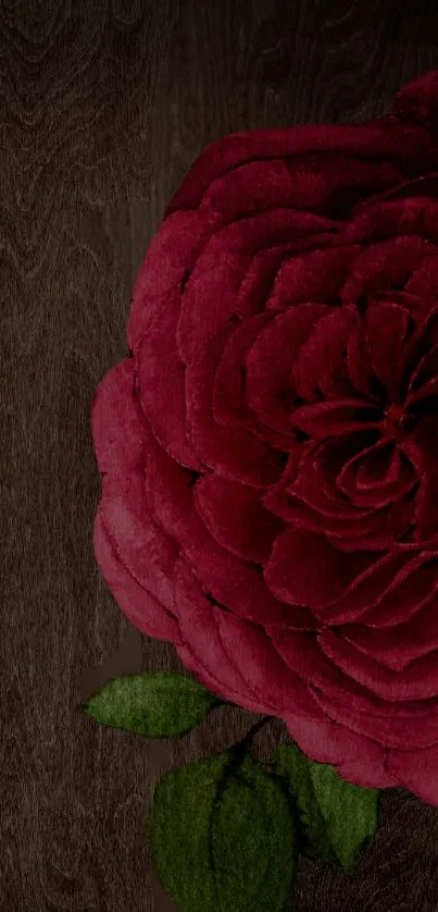 Elegant deep red rose on dark wood background wallpaper.