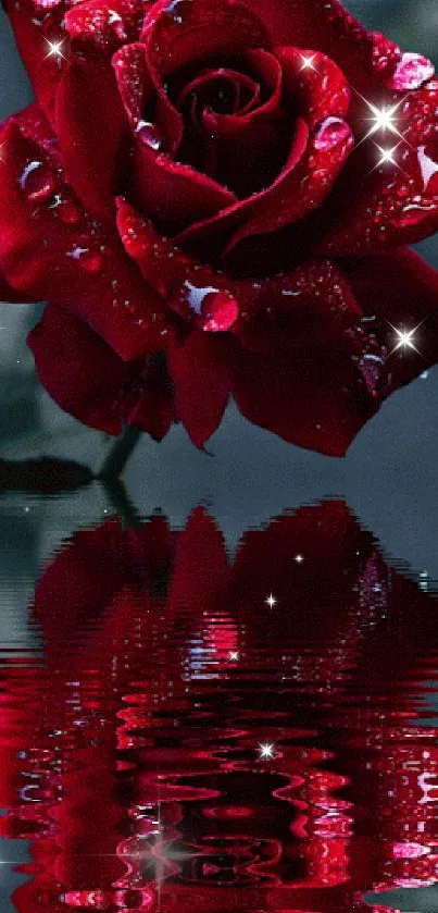 Dew-kissed red rose reflecting in water for mobile wallpaper.