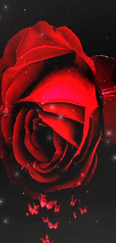 Stunning red rose with glowing effect on a black background mobile wallpaper.