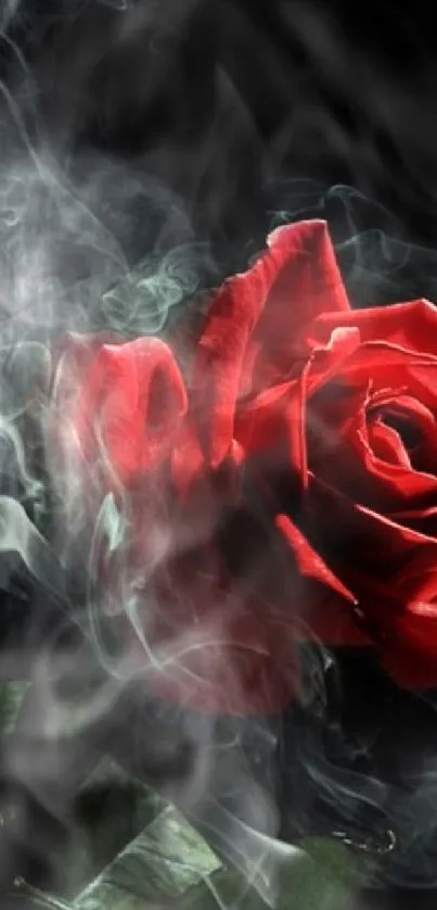 A bold red rose surrounded by smoke on a dark, mysterious background.