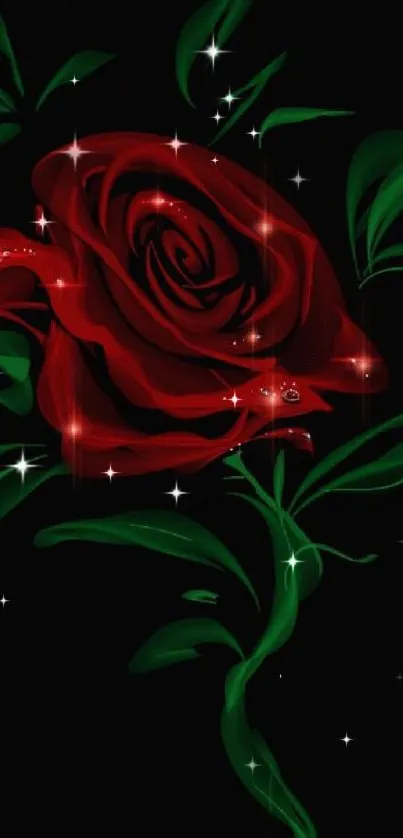 Elegant red rose with green leaves on a dark background.