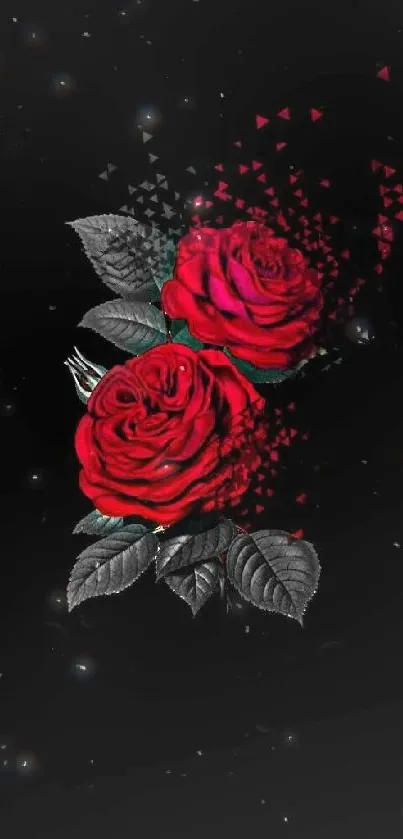 Elegant red roses on a black background, perfect for phone wallpaper.