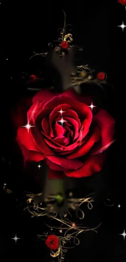 Elegant red rose with sparkles on a dark background.