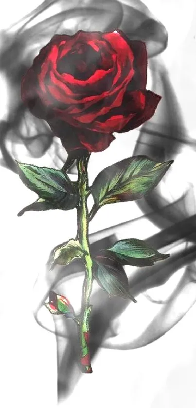 Red rose with smoky artistic background wallpaper.