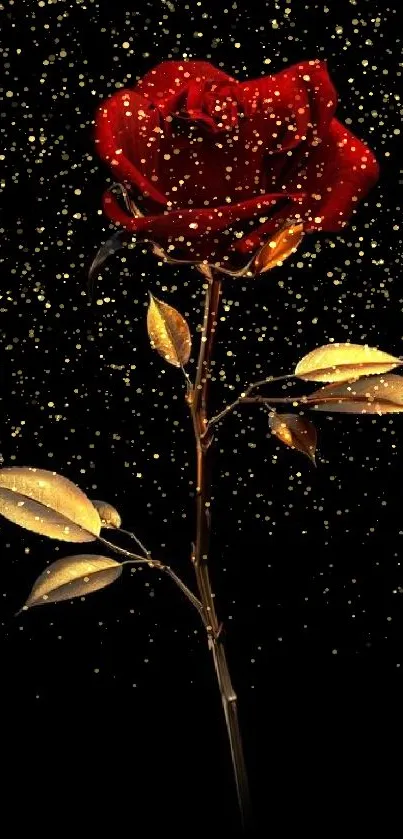 Elegant red rose with golden leaves on a black background wallpaper.