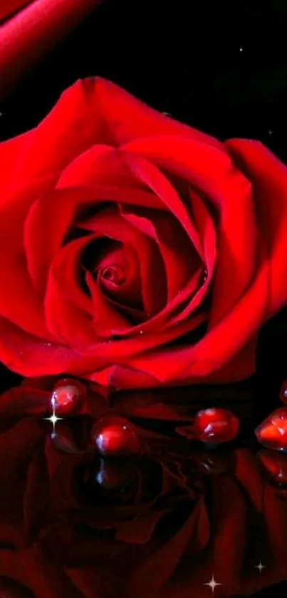 Elegant red rose with dark serene backdrop and reflective surface.