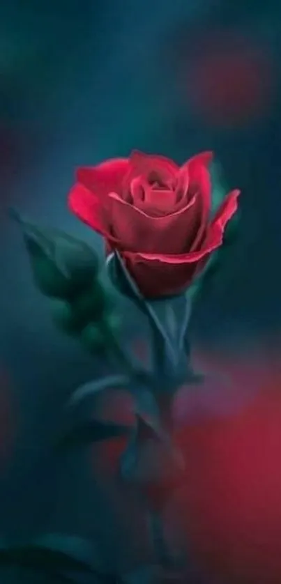 A vibrant red rose on a dark background.