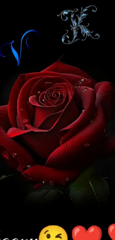 Vibrant red rose on dark background with decorative elements.