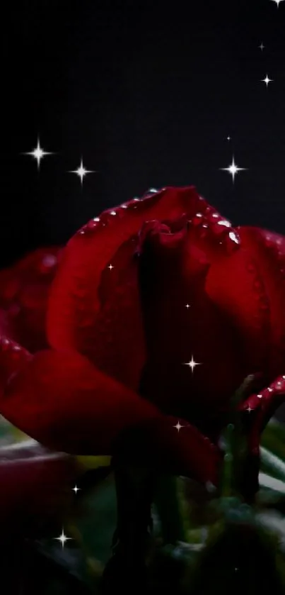 Close-up of a red rose with dewdrops on a dark background.