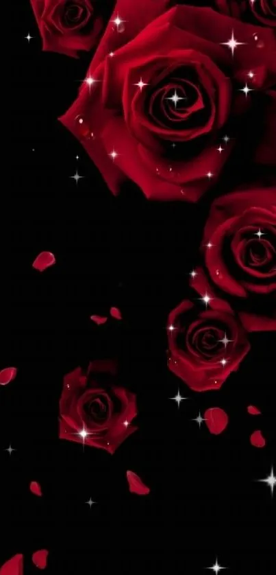 Elegant red roses with sparkling stars on dark background wallpaper.