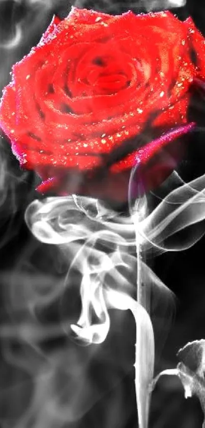 Red rose with smoke on dark background wallpaper.