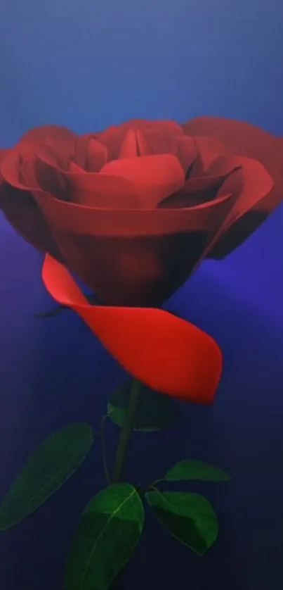 Elegant red rose against a blue background for mobile wallpaper.