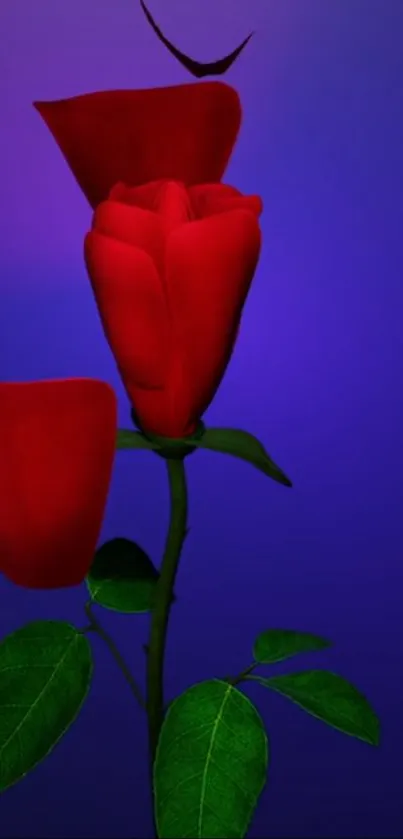 Red rose on a vibrant blue background, perfect for mobile wallpaper.