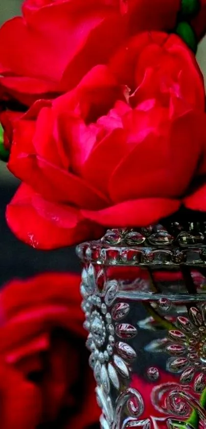 Elegant red rose in decorative glass vase mobile wallpaper.