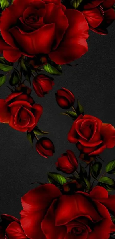 Elegant red roses on a black background wallpaper.