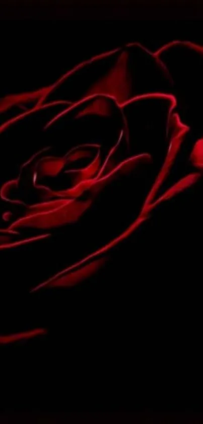 Dark red rose wallpaper with elegant petals on a black background.