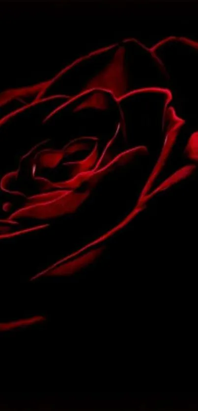 Deep red rose with elegant petals on a dark background.