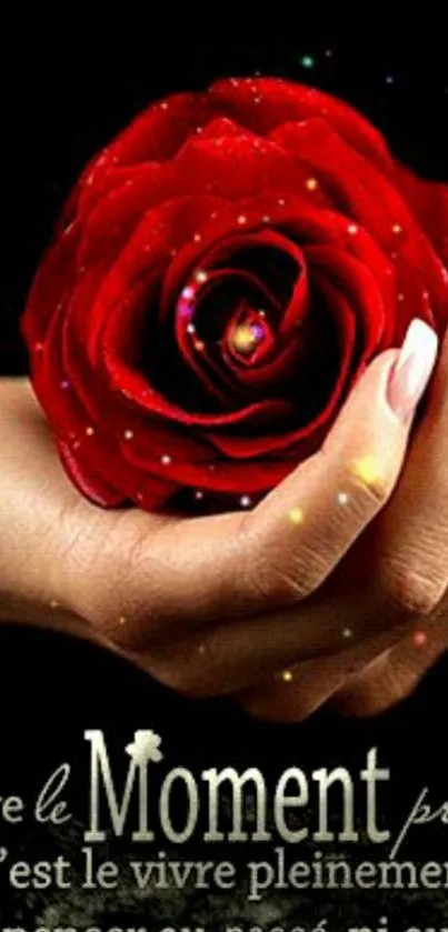 Elegant red rose held in hand against black background.