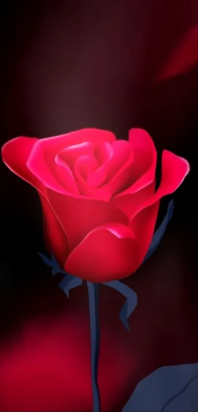 Elegant red rose on a dark background.