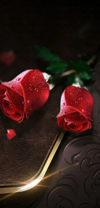 Elegant red rose on a dark background.