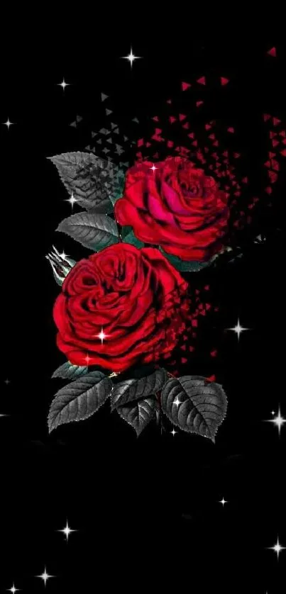 Red roses with black background mobile wallpaper.