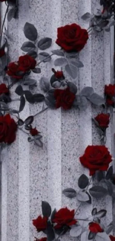 Striking red roses wrapped around a classic pillar, perfect for a sophisticated wallpaper.