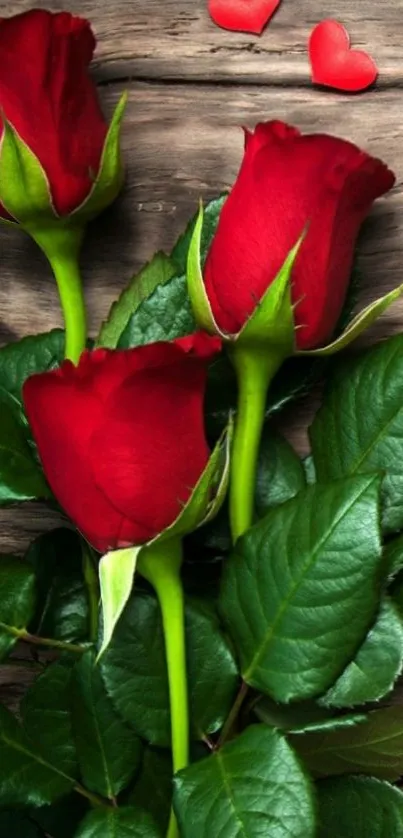 Three red roses on rustic wood background.