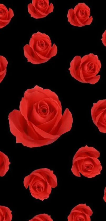 Elegant red roses on black background wallpaper.