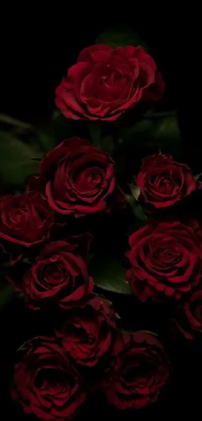 Elegant cluster of red roses on a black background.