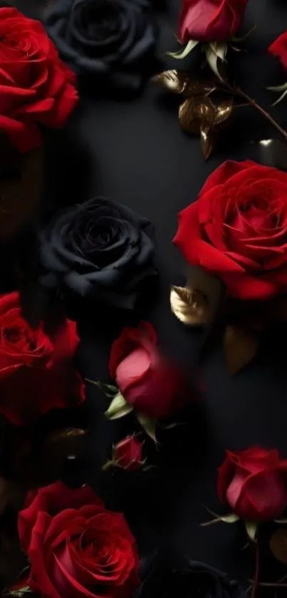 Elegant red roses on a dark background with golden accents.