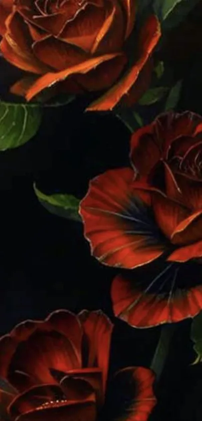 Elegant red roses with green leaves on a dark background.