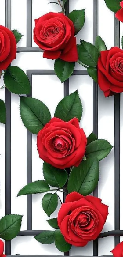 Vibrant red roses with green leaves on geometric background.