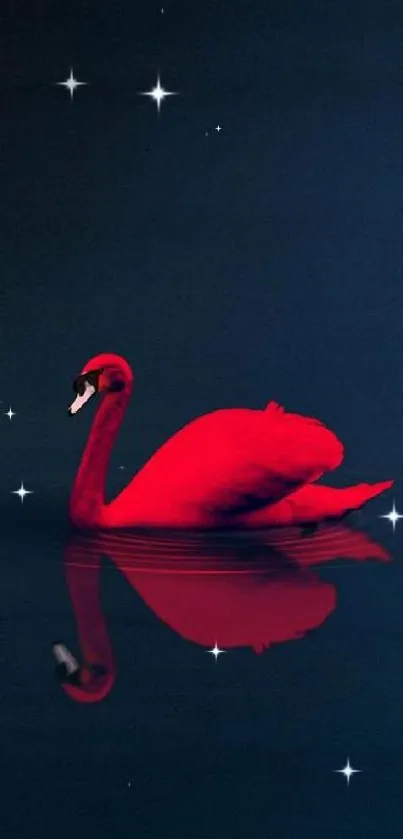 Elegant red swan glides on dark water, reflecting serenity.