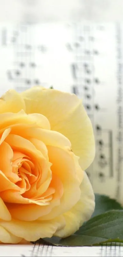 Soft yellow rose resting on a music sheet with elegant tones.