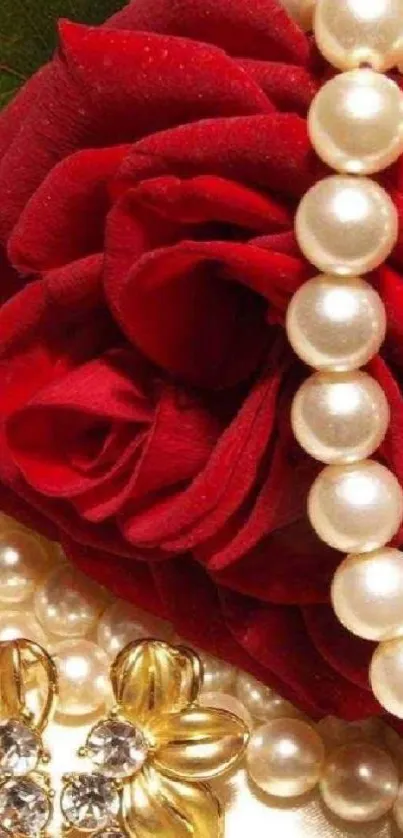 Red rose with pearls and gold accents wallpaper.