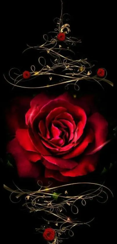 Elegant red rose with golden lace on dark background.