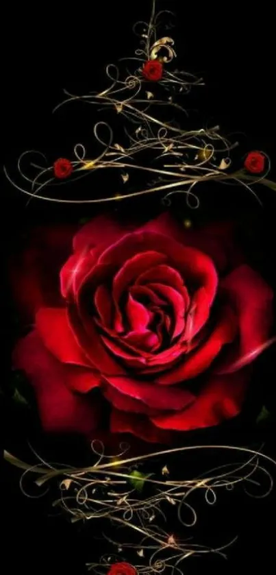 Red rose on black background wallpaper.