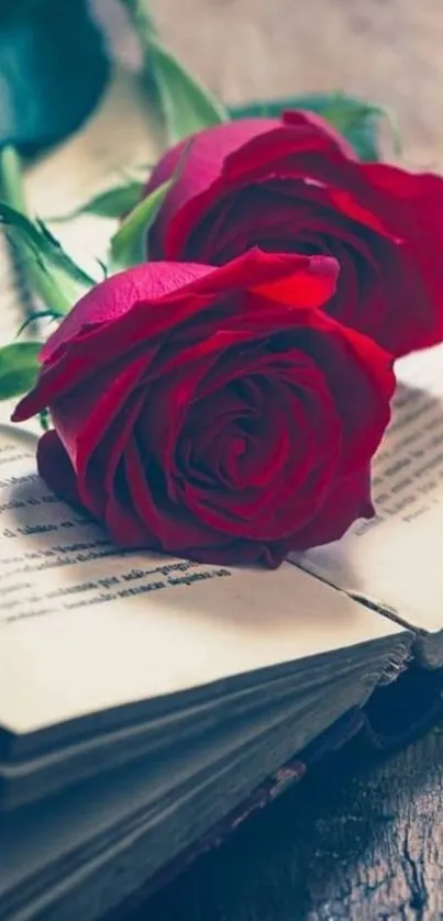 Red roses gracefully laid on an open book.