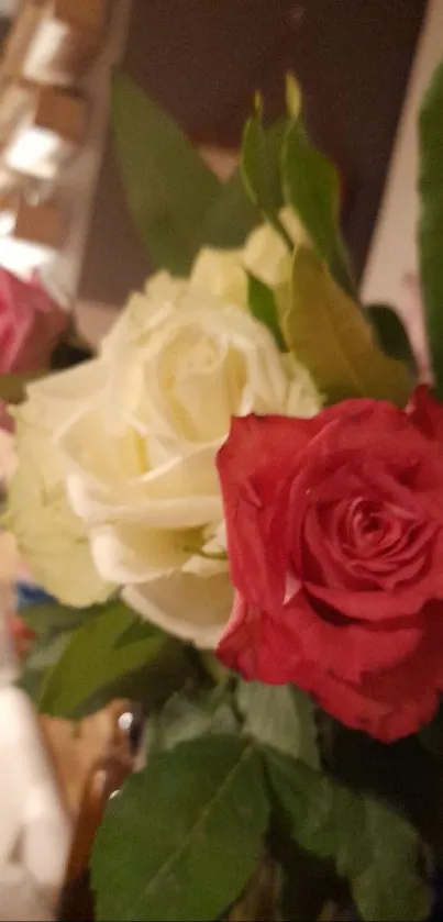 Elegant rose bouquet with red and white roses and lush green leaves.