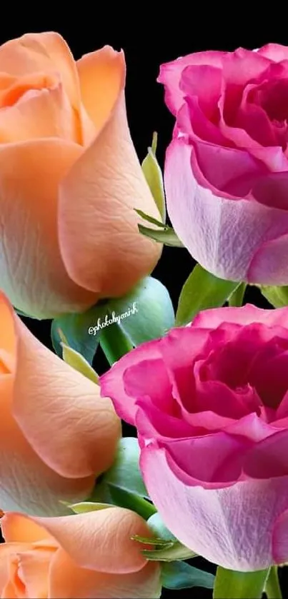 Elegant bouquet of pink and peach roses on a black background wallpaper.