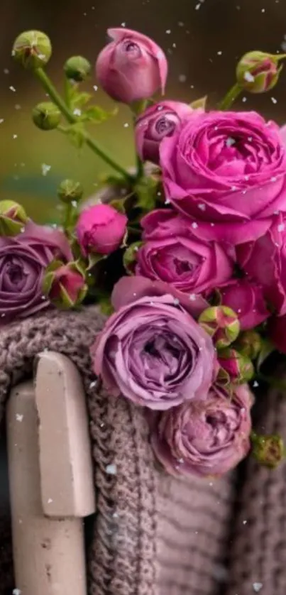 Bouquet of pink roses with soft snow on a cozy chair.