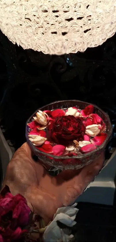 Hand holding a decorated bowl of red and white roses under a light.