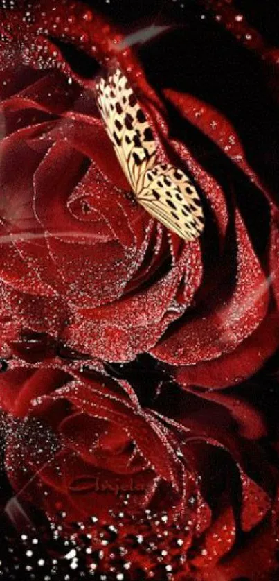 Red rose with butterfly wallpaper, elegant and artistic mobile design.