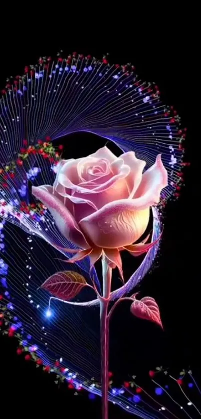 Elegant rose with glowing pattern on dark background.