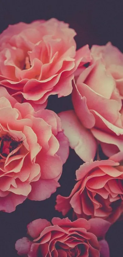 Elegant rose floral wallpaper with vibrant pink colors.