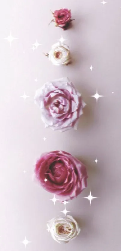 Mobile wallpaper with vertical pink and white roses on a light pink background.