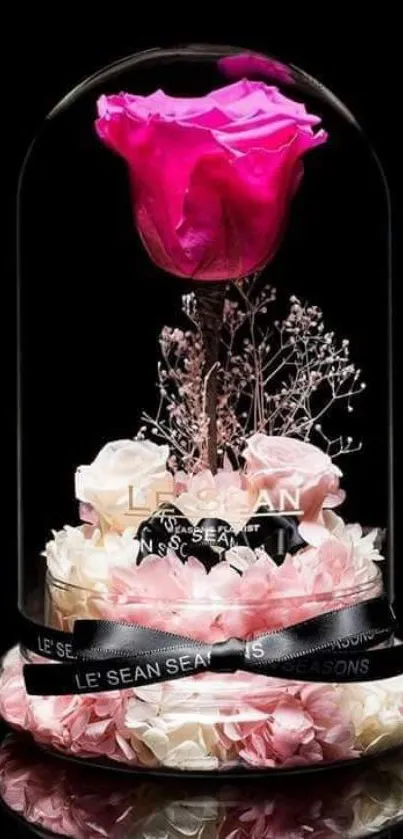 Mobile wallpaper with a pink rose in a glass dome on a black background.